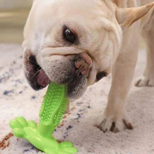 Jouet pour chiens | Basic doggy toy™