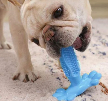 Jouet pour chiens | Basic doggy toy™