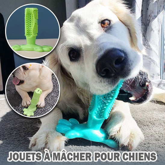 Jouet pour chiens | Basic doggy toy™