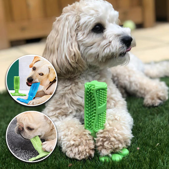 Jouet pour chiens | Basic doggy toy™