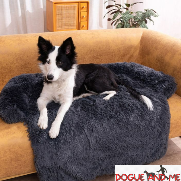 coussin pour chien