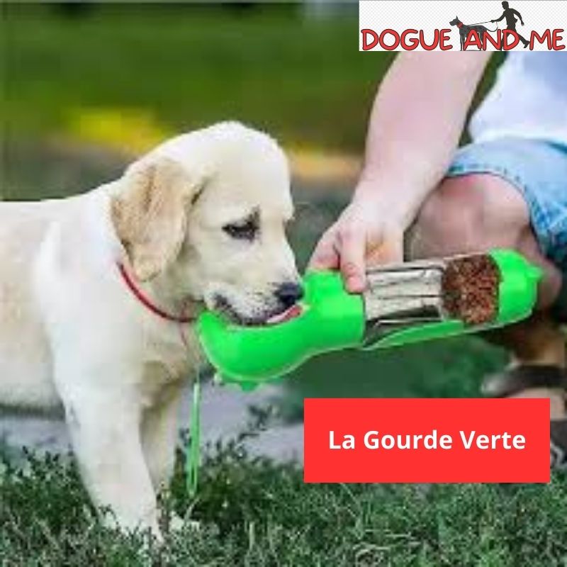 gourde chien