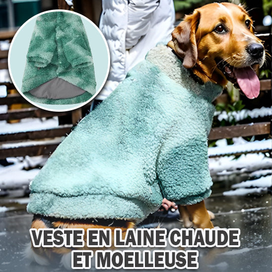 pull pour chien