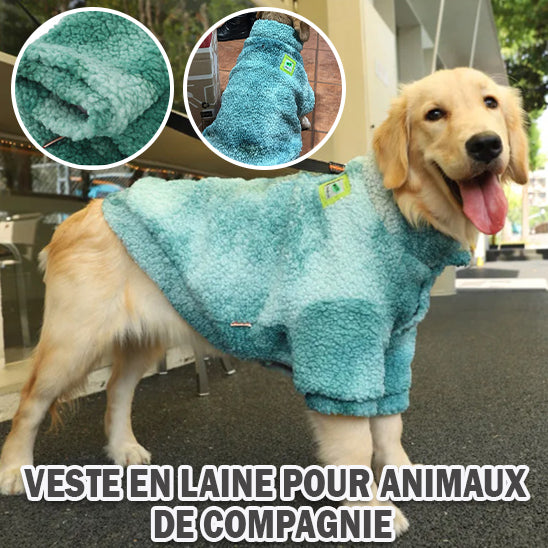 pull pour chien