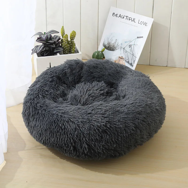 coussin pour chien