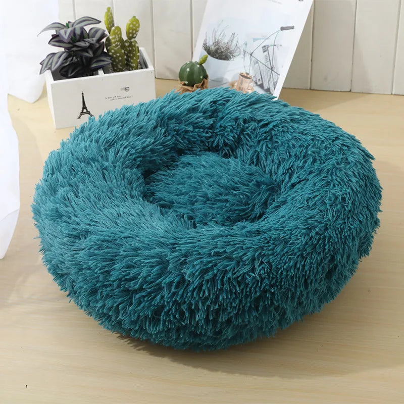 coussin pour chien