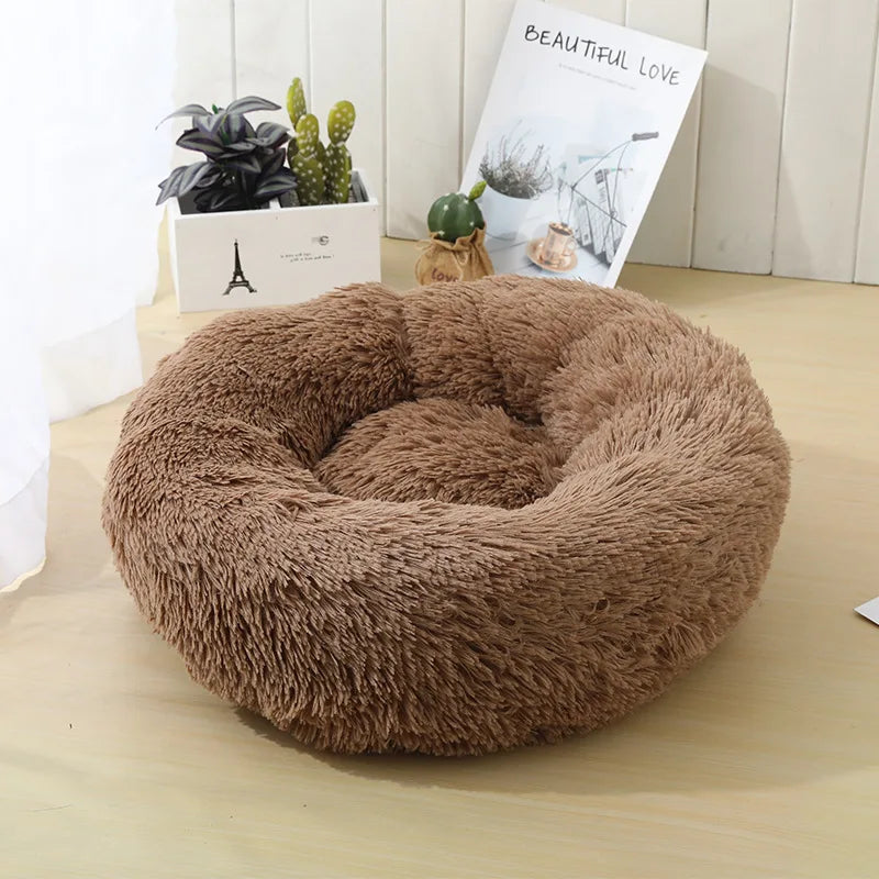 coussin pour chien