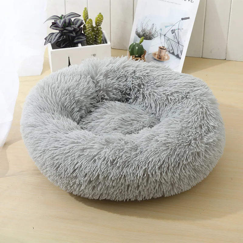 coussin pour chien