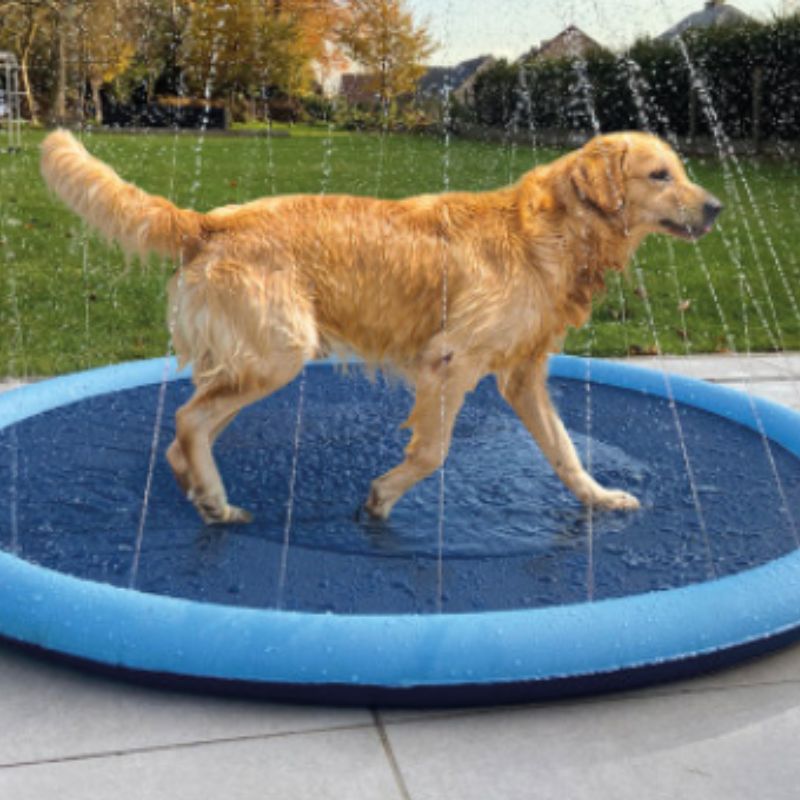 pataugeoire chien - Doggy pool TM