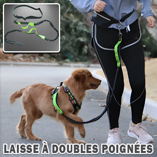 Laisse pour chien - double poignée