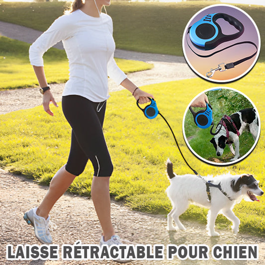 laisse-retractable